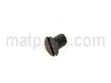 SS2110710TP SCREW